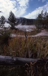 Black Sand Basin Image