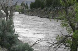 Yellowstone River in Yankee Jim Canyon, north of Gardiner, MT Image