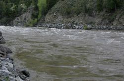 Yellowstone River in Yankee Jim Canyon, north of Gardiner, MT Image