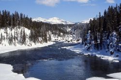 Yellowstone River in the winter with snow Image