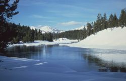 Yellowstone River in the winter near Otter Creek Image