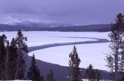 Yellowstone River & Hayden Valley in the winter Image