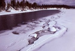 Yellowstone River at Fishing Bridge in winter Image