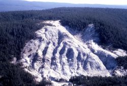 Roaoring Mountain - Norris Geyser Basin Image