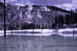 Roaring Mountain - Norris Geyser Basin Image