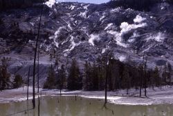 Roaring Mountain - Norris Geyser Basin Image