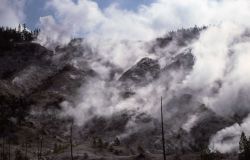 Roaring Mountain - Norris Geyser Basin Image