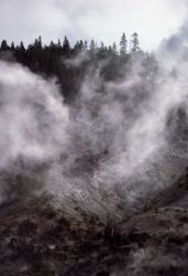 Roaring Mountain - Norris Geyser Basin Image