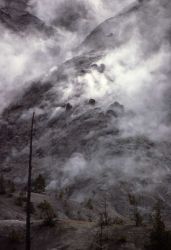 Roaring Mountain - Norris Geyser Basin Image