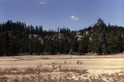 Ragged Hills - Back Basin - Norris Geyser Basin Image