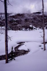 Roaring Mountain in winter - Norris Geyser Basin Image