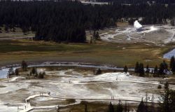 Upper Geyser Basin as seen from Observation Point Image