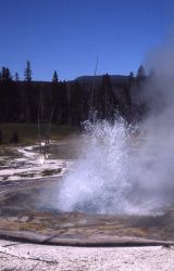 Rustic Geyser - Heart Lake Geyser Basin Image