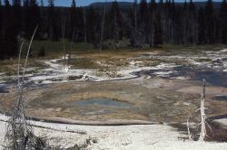 Rustic Geyser - Heart Lake Geyser Basin Image