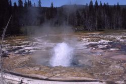 Rustic Geyser - Heart Lake Geyser Basin Image