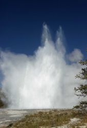 Great Fountain Geyser - Midway & Lower Geyser Basin Photo