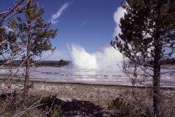 Great Fountain Geyser - Midway & Lower Geyser Basin Photo