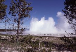 Great Fountain Geyser - Midway & Lower Geyser Basin Photo