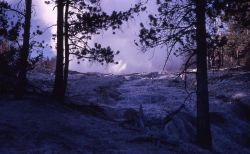 Run off from Steamboat Geyser - Norris Geyser Basin Image