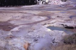 Ledge Geyser vents & jetsam pool - Norris Geyser Basin Image