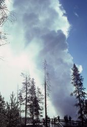 Steamboat Geyser erupting August 25, 1978 - Norris Geyser Basin Photo