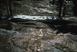 Run off from Steamboat Geyser eruption - Norris Geyser Basin Image