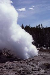 Steamboat Geyser - Norris Geyser Basin Photo