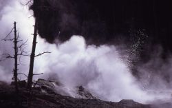 Steamboat Geyser in typical minor play - Norris Geyser Basin Photo