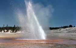 Little Whirligig Geyser - Norris Geyser Basin Image