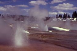 Little Whirligig & Africa Geysers - Norris Geyser Basin Image