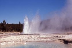 Little Brother Geyser - Upper Geyser Basin Image