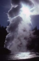 Riverside Geyser - Upper Geyser Basin Image