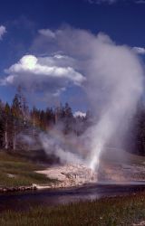 Riverside Geyser & rainbow - Upper Geyser Basin Image