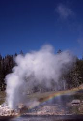 Riverside Geyser - Upper Geyser Basin Image