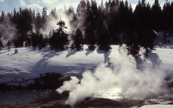 Fan & Mortar Geysers - Upper Geyser Basin Image
