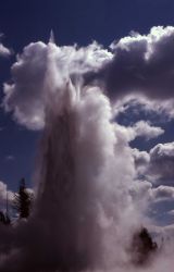Grand Geyser - Upper Geyser Basin Image