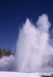 Grand Geyser - Upper Geyser Basin Image