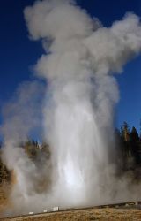 Grand Geyser - Upper Geyser Basin Image