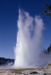 Grand Geyser - Upper Geyser Basin Image