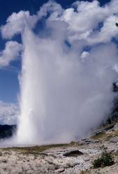 Grand Geyser - Upper Geyser Basin Image