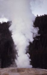 Giantess Geyser - Upper Geyser Basin Image