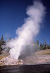 Riverside Geyser - Upper Geyser Basin Image