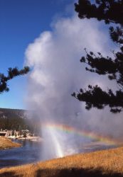 Riverside Geyser - Upper Geyser Basin Image