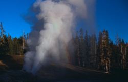 Riverside Geyser - Upper Geyser Basin Image