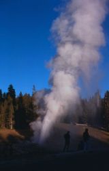 Riverside Geyser - Upper Geyser Basin Image