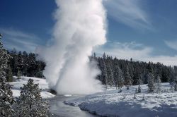 Riverside Geyser - Upper Geyser Basin Image