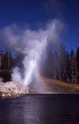 Riverside Geyser - Upper Geyser Basin Image