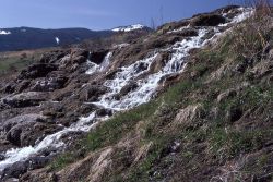 Run off channel - Mammoth Hot Springs Image