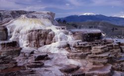 Minerva Springs & Terrace - Mammoth Hot Springs Image