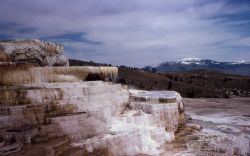 Minerva Springs & Terrace - Mammoth Hot Springs Image